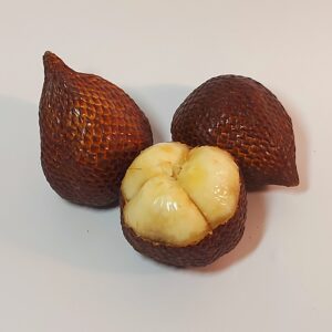 Salak, Salakpalme