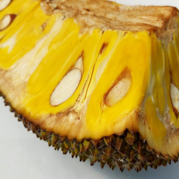 Jackfrucht – Bild 3