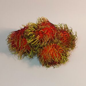 Rambutan